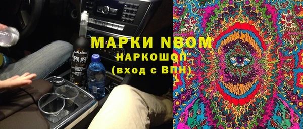 ECSTASY Бородино