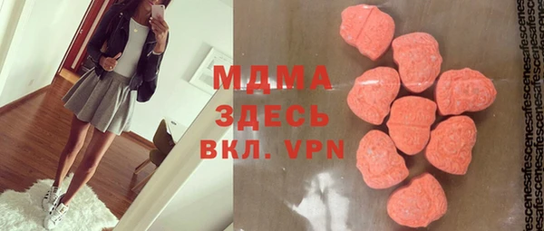 ECSTASY Бородино