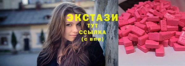 ECSTASY Бородино