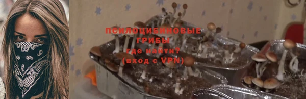 ГАЛЛЮЦИНОГЕННЫЕ ГРИБЫ Инта