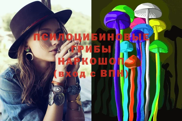 МДПВ Бугульма