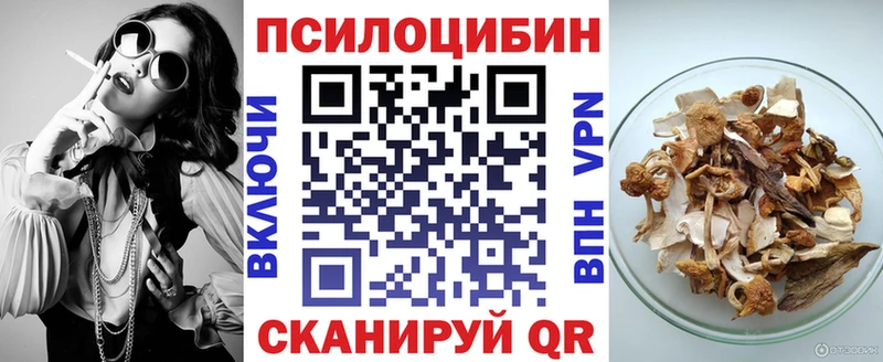 продажа наркотиков  МЕГА онион  Псилоцибиновые грибы MAGIC MUSHROOMS  Ковылкино 