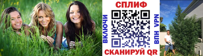 Канабис MAZAR Ковылкино